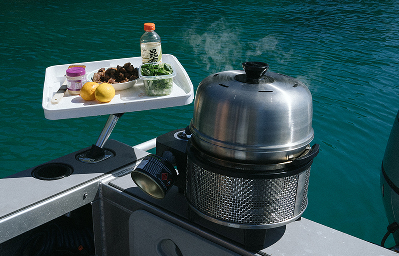 Grill Premier Gas Deluxe Cobb 2.0